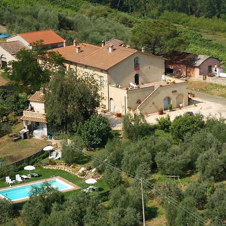 Gasthaus Agriturismo L'Olmo San Gimignano Exterior foto