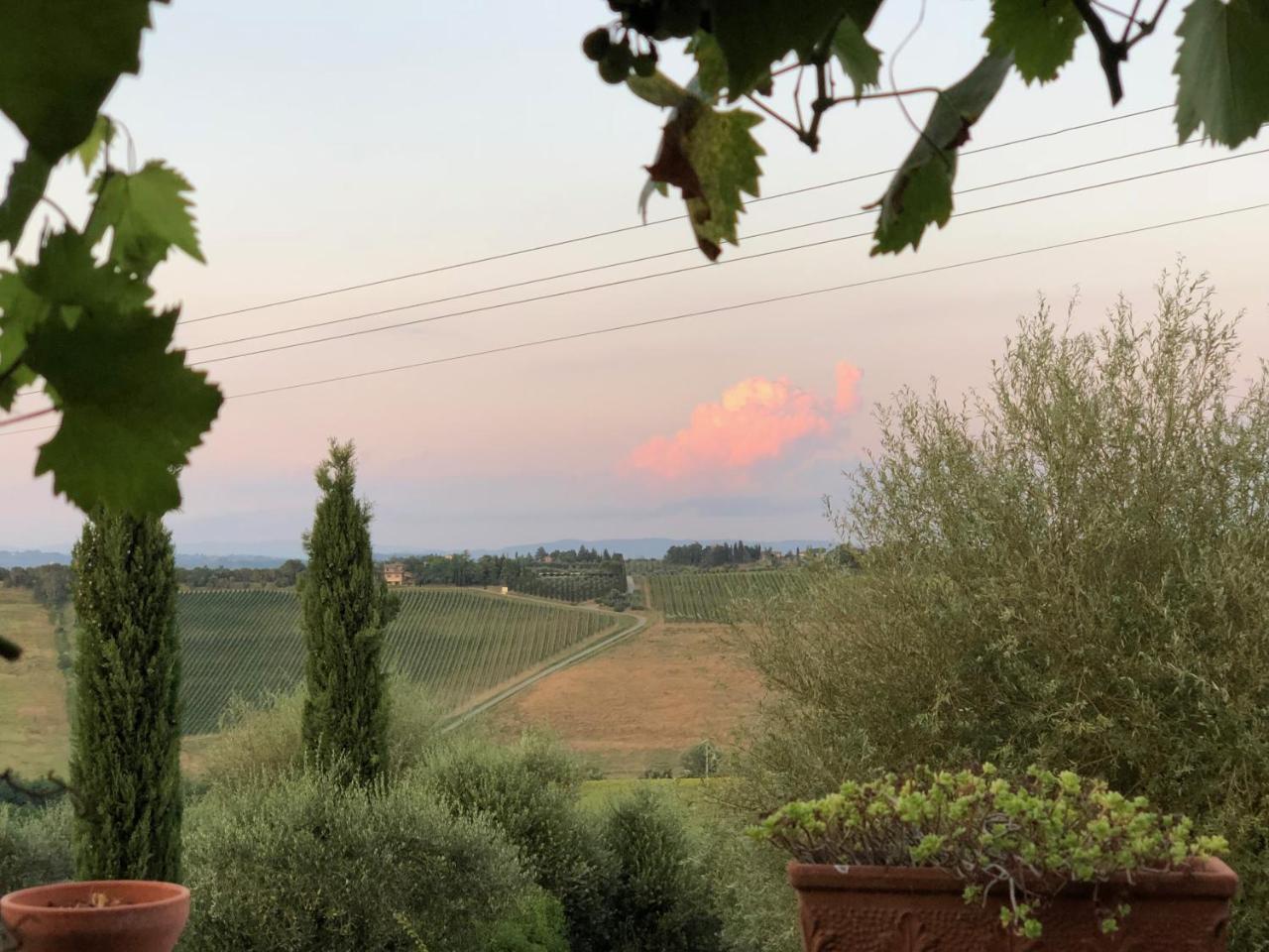 Gasthaus Agriturismo L'Olmo San Gimignano Exterior foto