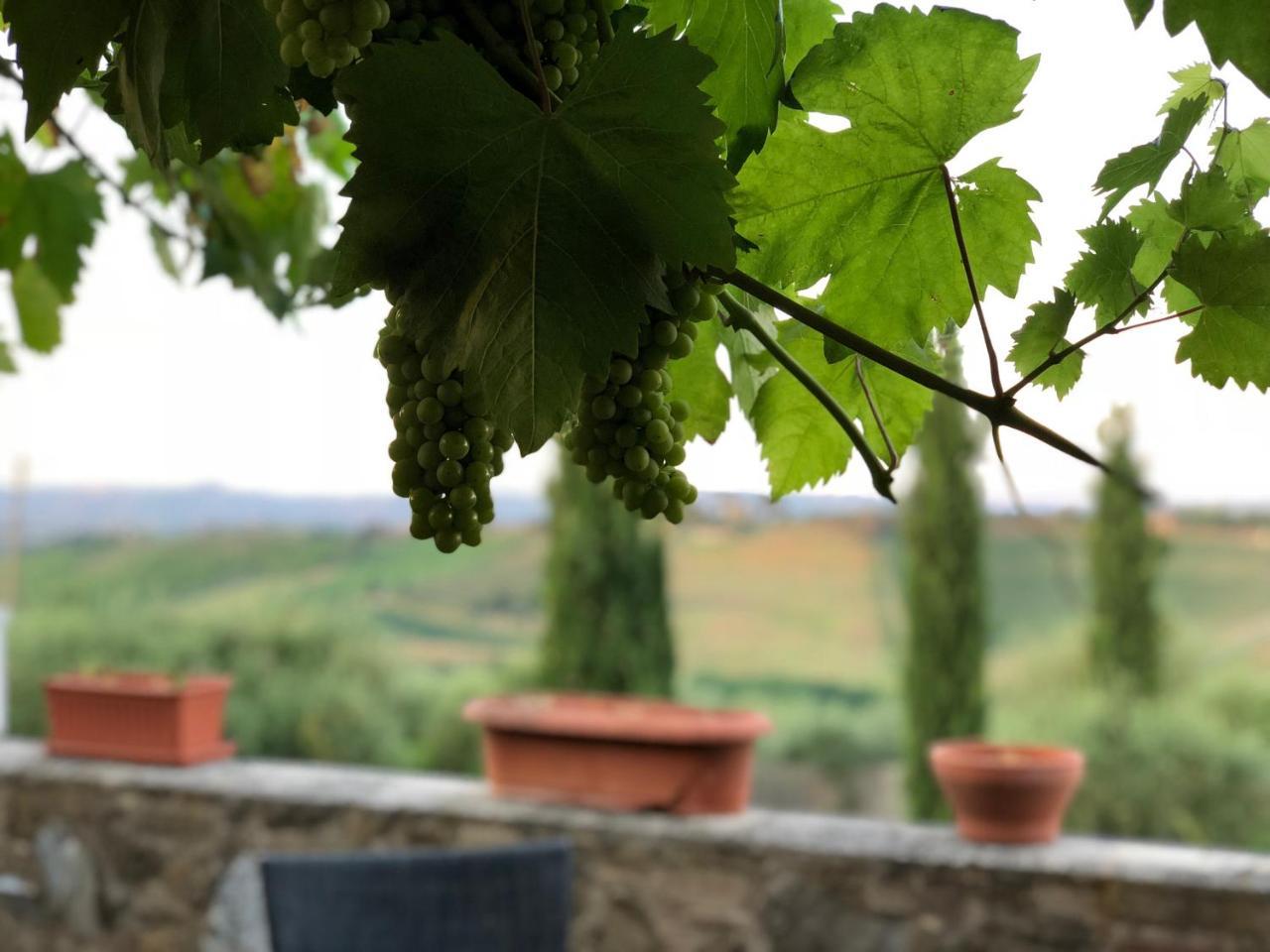 Gasthaus Agriturismo L'Olmo San Gimignano Exterior foto