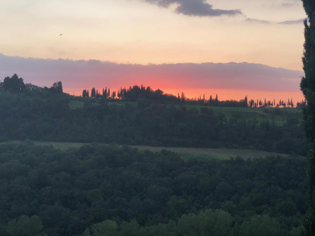 Gasthaus Agriturismo L'Olmo San Gimignano Exterior foto