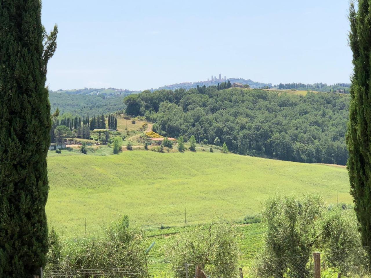 Gasthaus Agriturismo L'Olmo San Gimignano Exterior foto