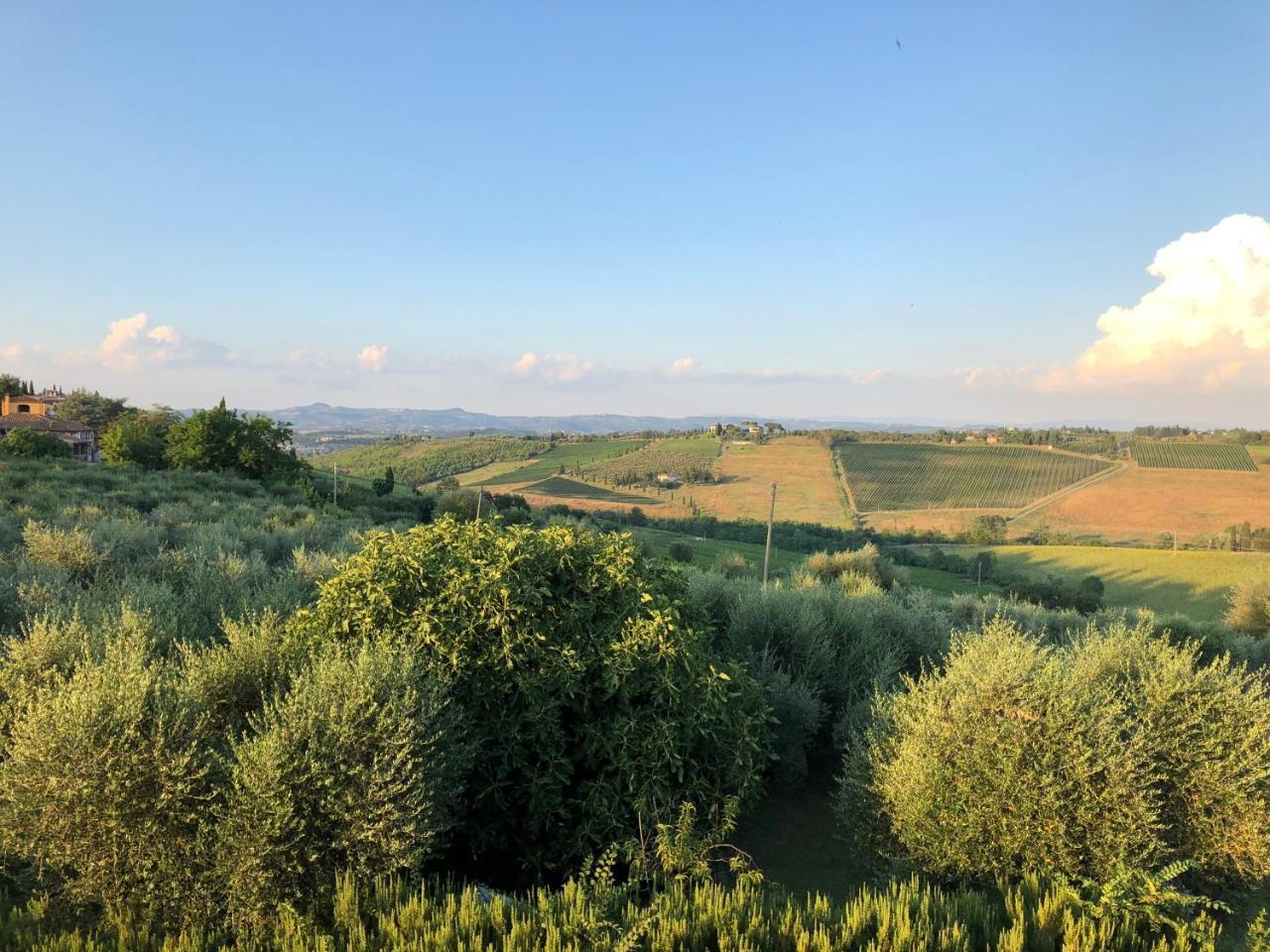 Gasthaus Agriturismo L'Olmo San Gimignano Exterior foto